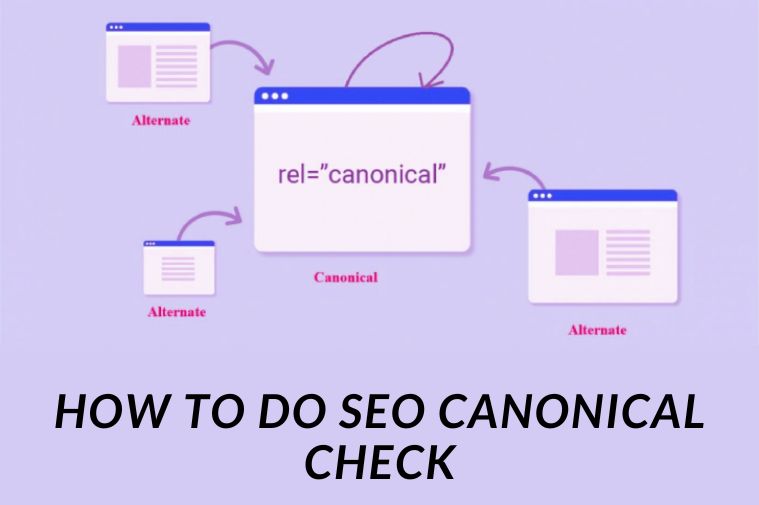 How To Do SEO Canonical Check?